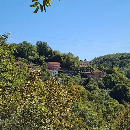 Close To City Far From Crowd Apartment
