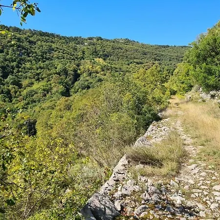 Close To City Far From Crowd